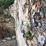 Leon * Mostar