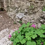 Leon Appartement Mostar